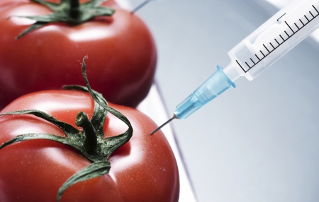 ГМО больше не считают опасным
