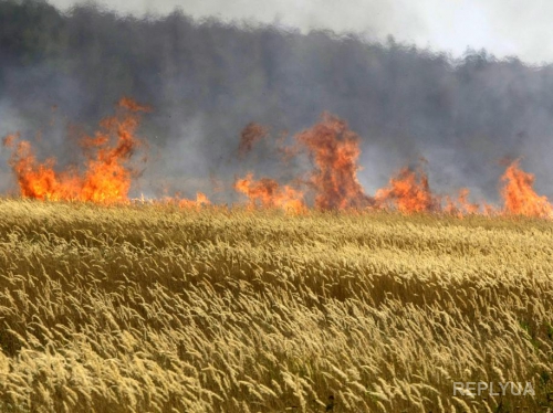 Из-за сухой травы загорелся дом в Полтавской области