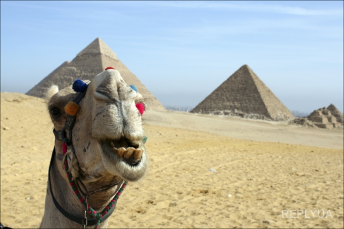 Египет ограничивает въезд туристов