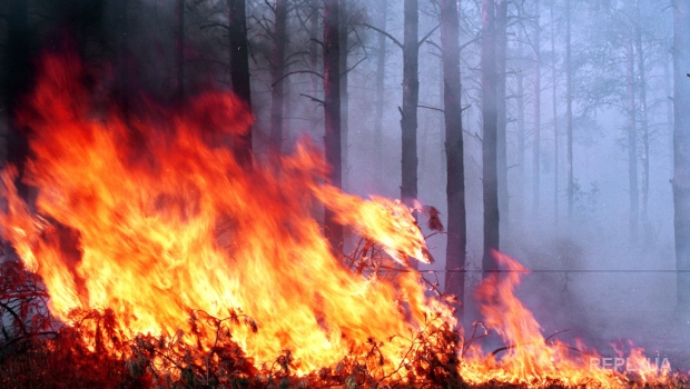 В Забайкалье паника: местных жителей эвакуируют из-за пожаров