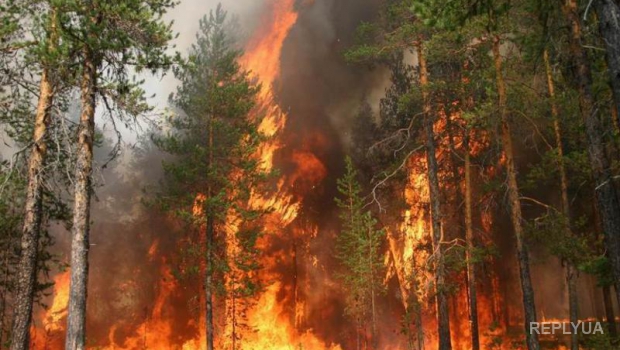 Сибирские пожары распространяются по Китаю