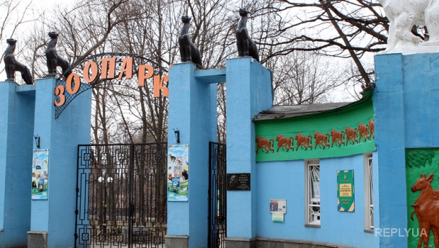 НБУ выпустило новую монету к 120-летию Харьковского зоопарка