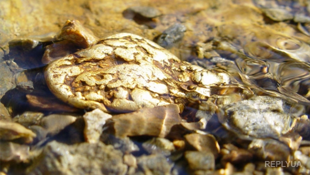 300 т золота в год улетает в мусор по всему миру