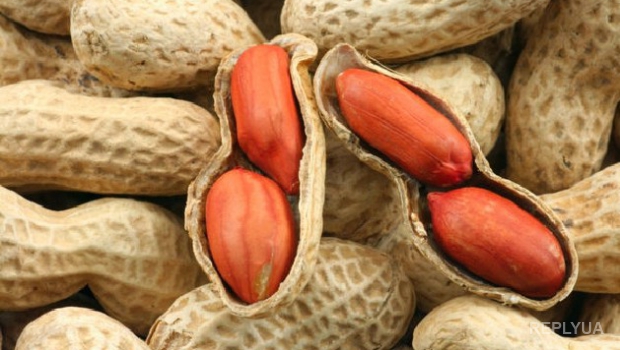 Россельхознадзор наложил запрет на ввоз американского арахиса