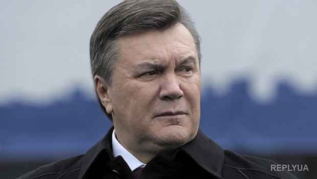 После интервью Януковича журналисты выяснили правду о страусах в «Межигорье»