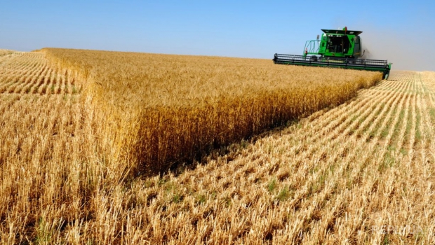 У Украины проблемы со сбором урожая
