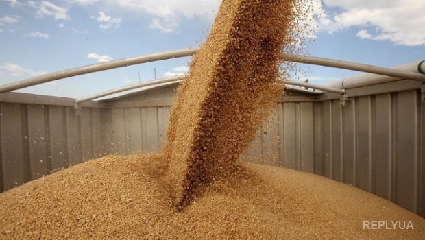 Из-за АЧС Украину могут исключить из списка экспортеров зерна