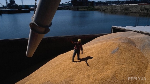 Экспорт зерновых в Украине бьет все рекорды