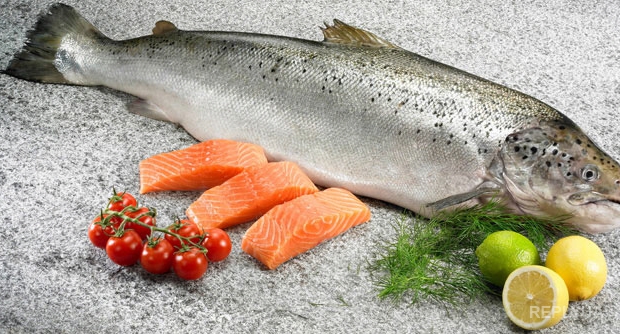 Прелести союза с РФ – Россельхознадзор запрещает странам ЕАЭС ввоз норвежской рыбы