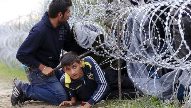 Пограничники Закарпатья начали задерживать сирийских мигрантов
