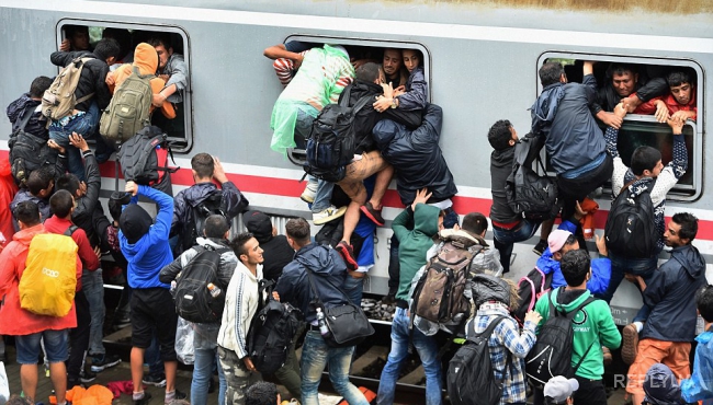 Словения применила силу, чтобы не пропускать мигрантов