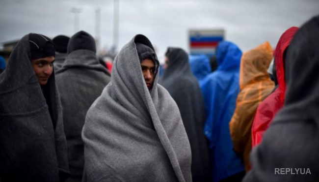 Власти Словении «сжалились» над мигрантами, простоявшими несколько дней под дождем