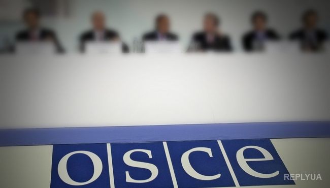 В ОБСЕ признали выборы в Украине состоявшимися