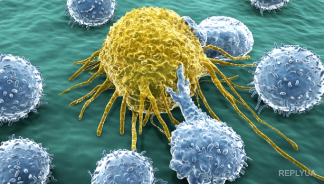 Исследователи нашли уникальным метод борьбы с раком