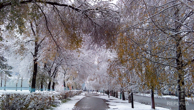 В Украину приходит резкое похолодание и мокрый снег