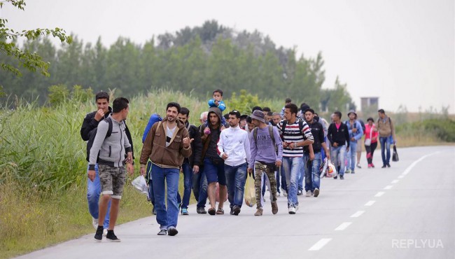 Швеция отправит домой десятки тысяч мигрантов