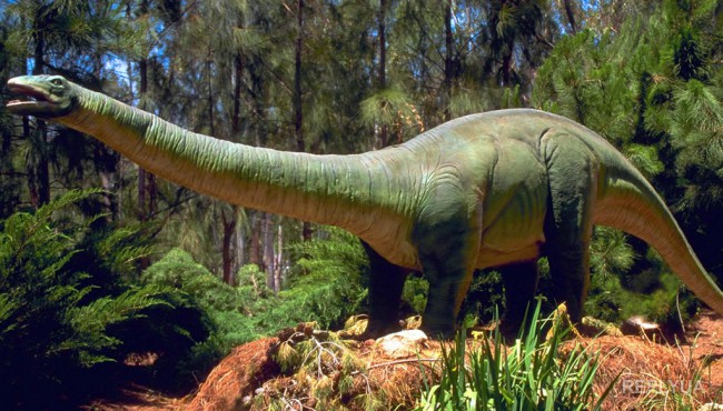 Ученые из Шотландии обнаружили следы огромных динозавров