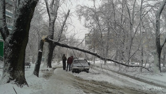 Харьковчане дождались первого снега: стихия поломала деревья и изуродовала автомобили