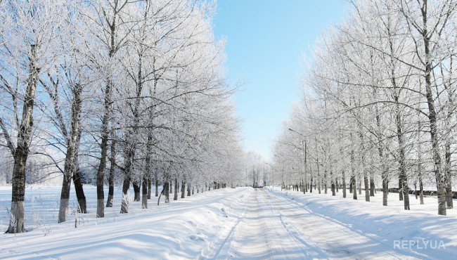 В понедельник в Украину придут морозы