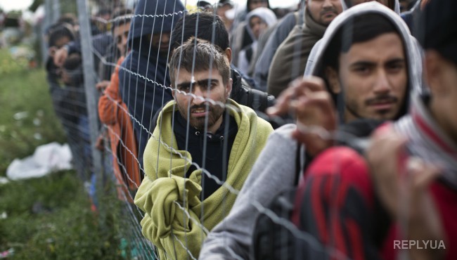 Власти Дании возмущены поведением мигрантов