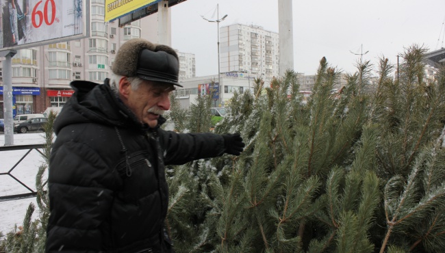 Фоторепортаж уходящего года: как киевляне готовятся к празднику?