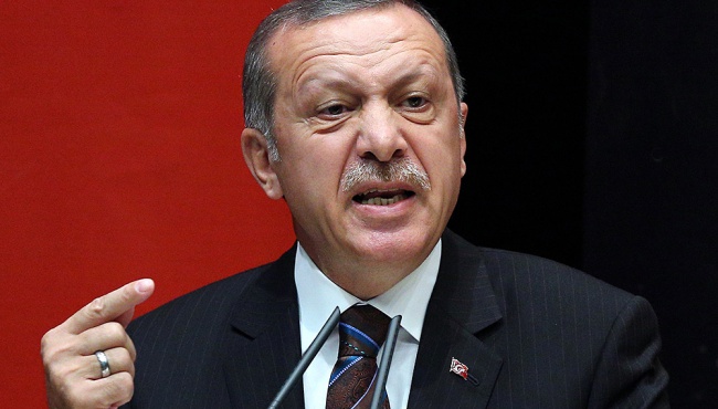 Эрдогана назвали политиком, перешедшим черту