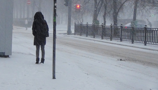В ГСЧС рассказали, какие города Украины пострадали от снегопада