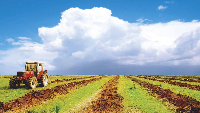 Павленко: ЕС запустил программу для сельхозпредпринимателей