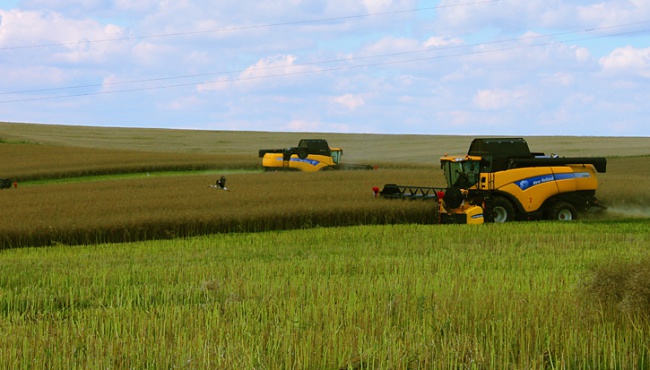 Украинский агробизнес станет лучшим в Европе