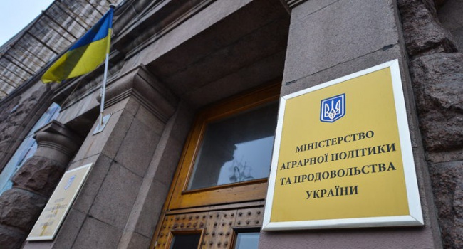 Мінагрополітики: Українську продукцію у світі визнано найбезпечнішою