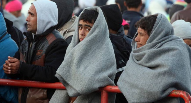 Власти Австрии собираются выслать из страны десятки тысяч мигрантов