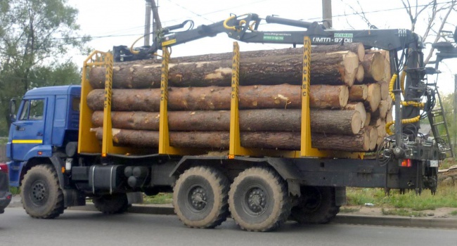 Из Украины незаконно вывозят тонны лесоматериалов