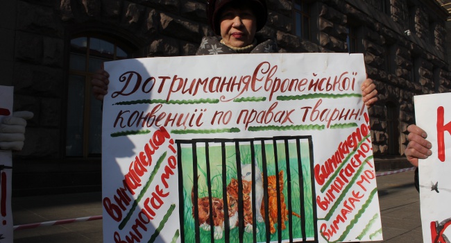 Сегодня в Киеве, требовали закрыть "Рынок смерти"  заложили бомбу - фоторепортаж