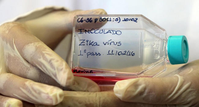 Мэр Рио-де-Жанейро: эпидемия вируса Зика не так опасна, как обычный грипп