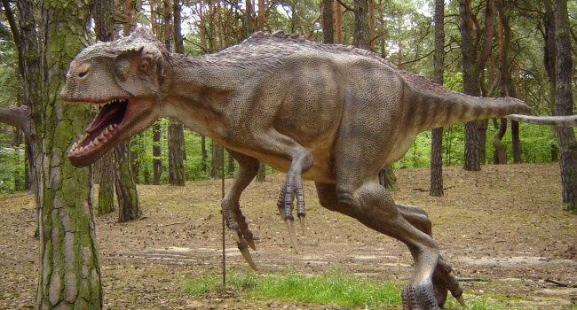 Ученые сделали сенсационное заявление о динозаврах