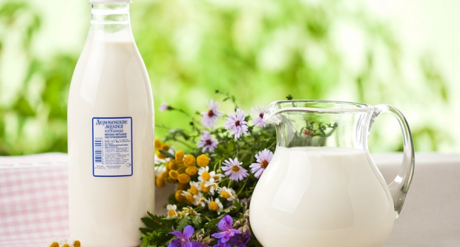Ученые: любители молока рискуют своим здоровьем