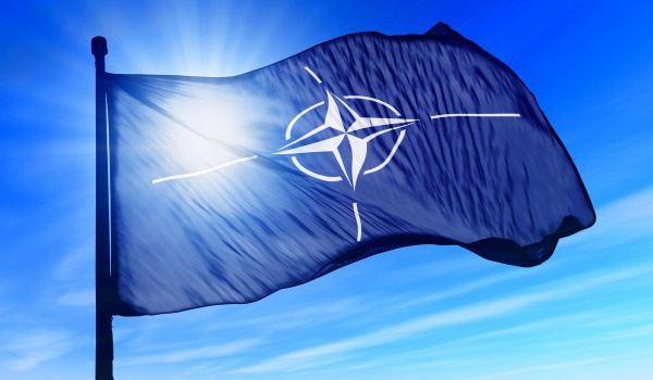 В США боятся за НАТО после выхода Великобритании из ЕС