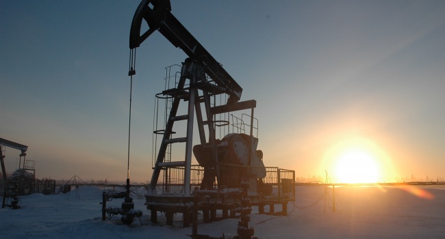В РФ рассказали, когда будут исчерпаны все запасы нефти