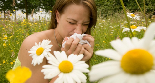 Ученые: склонность к аллергии зависит от даты рождения человека