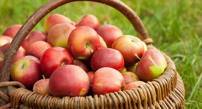 Польский Красный Крест бесплатно раздает яблоки, не понадобившиеся РФ