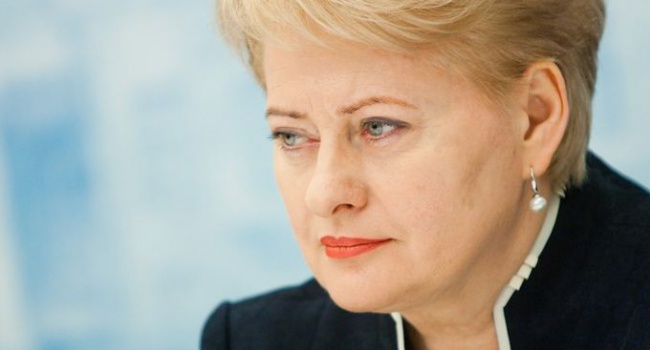 Власти Литвы намерены продолжить поддержку евроинтеграции Украины