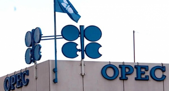  В ОПЕК дали самый позитивный прогноз по нефти