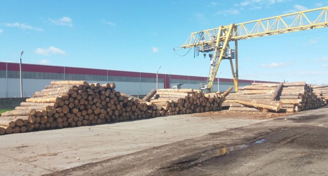 В Одесской области задержана крупная партия древесины на экспорт в обход бюджета
