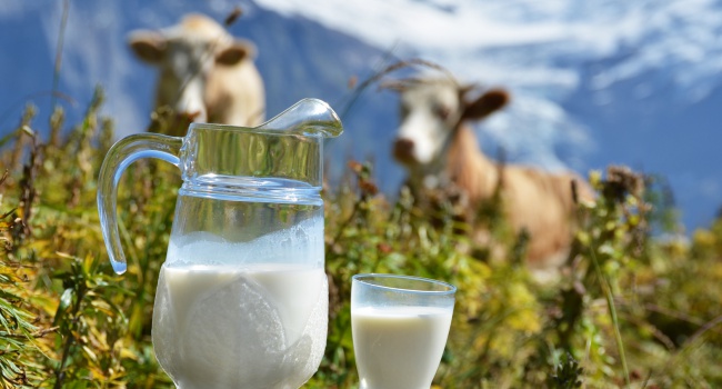 Цены на молоко в Украине – чего ожидать