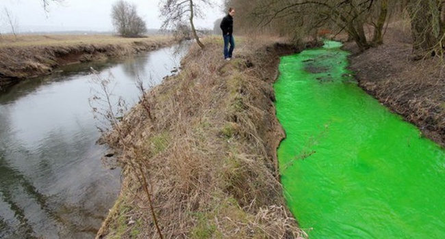 В Ивано-Франковской области позеленела река
