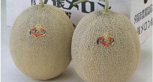 В Японии дыни из нового урожая продали на аукционе за 3 млн иен