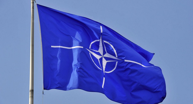 Пономарь: еще одна карта перед саммитом НАТО