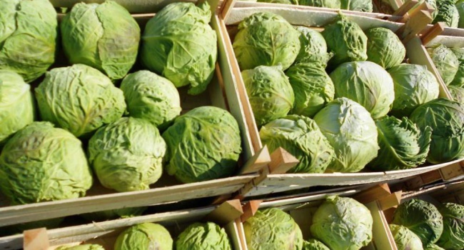 В Украине начался обвал цен на овощи