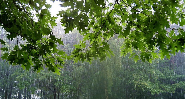 Гидрометцентр: в ближайшие дни в Украине будут лить дожди