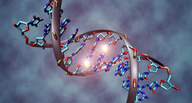 Вчені хочуть генетично модефікувати людину